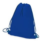 Рюкзак-холодильник “Фрио”, классический синий, арт. 005131203