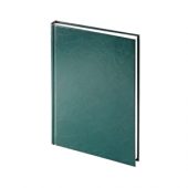 Ежедневник недатированный А5+ «Ideal New», зеленый, арт. 014664003