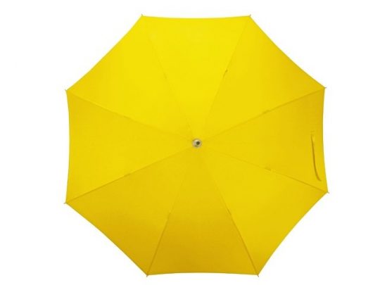 Зонт-трость Color полуавтомат, желтый, арт. 016323603