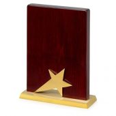 Награда Galaxy с золотой звездой, дерево, металл, в подарочной упаковке, арт. 016590303