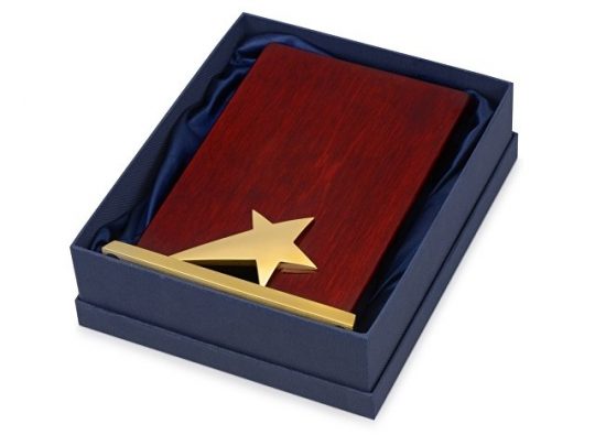 Награда Galaxy с золотой звездой, дерево, металл, в подарочной упаковке, арт. 016590303