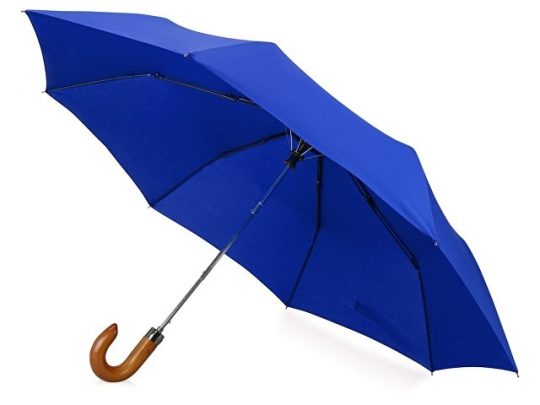 Зонт складной Cary , полуавтоматический, 3 сложения, с чехлом, темно-синий, арт. 016362903