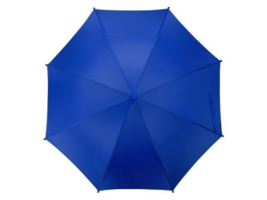Зонт-трость Edison, полуавтомат, детский, синий, арт. 016364003