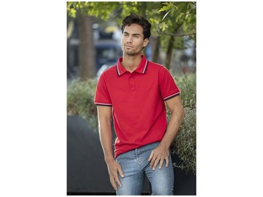Мужская футболка поло Fairfield с коротким рукавом с проклейкой, красный/темно-синий/белый (XL), арт. 016775103