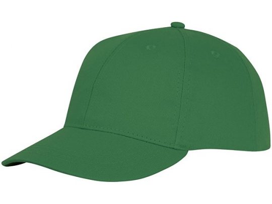 Шестипанельная кепка Ares, зеленый папоротник, арт. 016876503