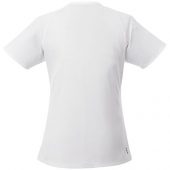 Модная женская футболка Amery  с коротким рукавом и V-образным вырезом, белый (XL), арт. 016799203