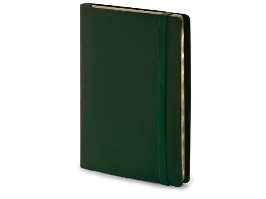 Ежедневник недатированный А5  Oxford, зеленый (А5), арт. 017299703