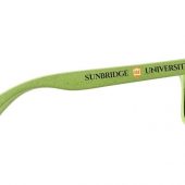 Солнцезащитные из пшеничной соломы очки Rongo, зеленый, арт. 017500503