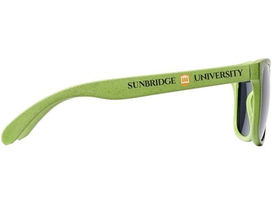 Солнцезащитные из пшеничной соломы очки Rongo, зеленый, арт. 017500503