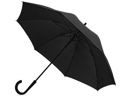 Зонт-трость Bergen, полуавтомат, черный, арт. 017390003