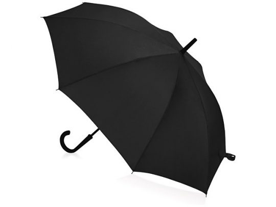 Зонт-трость Bergen, полуавтомат, черный, арт. 017390003