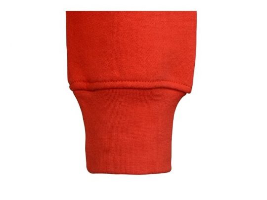 Толстовка с капюшоном Amsterdam мужская, красный (2XL), арт. 017638203