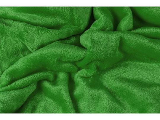 Плед мягкий флисовый Fancy, зеленый, арт. 017744203