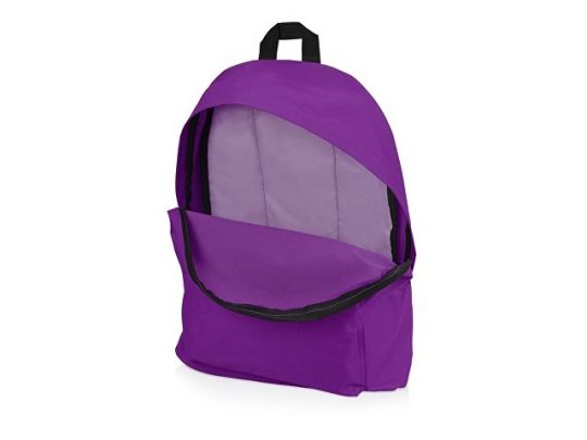 Рюкзак Спектр, фиолетовый, арт. 018269203