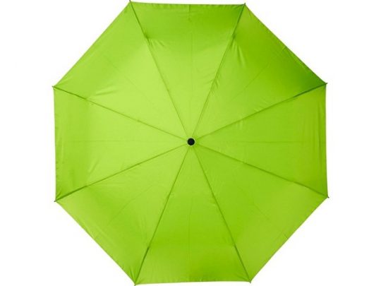 23-дюймовый автоматический зонт Alina из переработанного ПЭТ-пластика, лайм, арт. 018947403