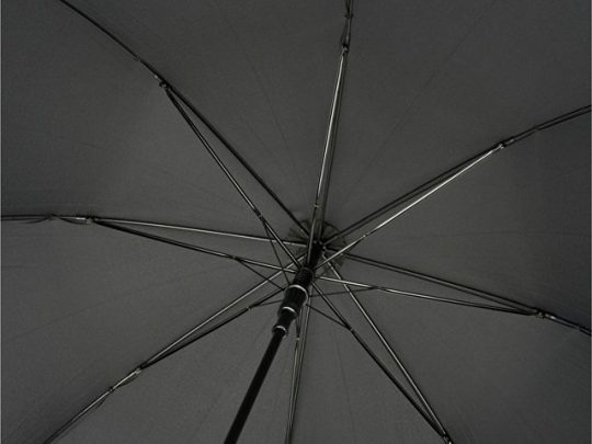 23-дюймовый автоматический зонт Alina из переработанного ПЭТ-пластика, черный, арт. 018947703