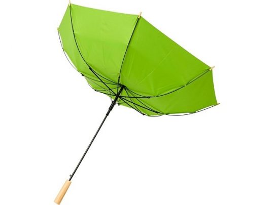 23-дюймовый автоматический зонт Alina из переработанного ПЭТ-пластика, лайм, арт. 018947403