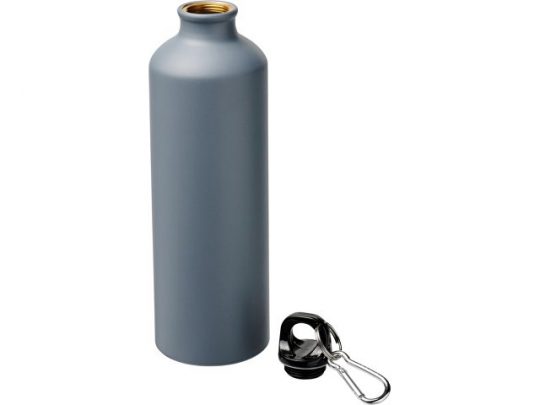 Матовая спортивная бутылка Pacific объемом 770 мл с карабином, серый, арт. 019066703