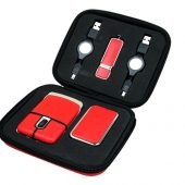 Подарочный набор USB-SET в кожанном исполнении в коробочке на 4 Гб, красный (4Gb), арт. 019446403