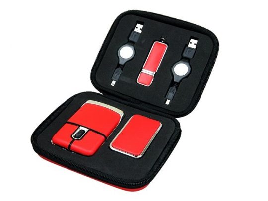 Подарочный набор USB-SET в кожанном исполнении в коробочке на 4 Гб, красный (4Gb), арт. 019446403
