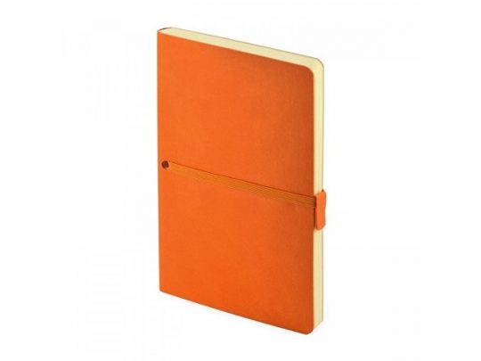 Ежедневник недатированный А5 Tokyo, оранжевый, арт. 020063603