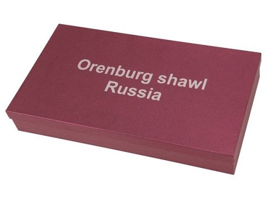 Оренбургский пуховый платок, арт. 020727303