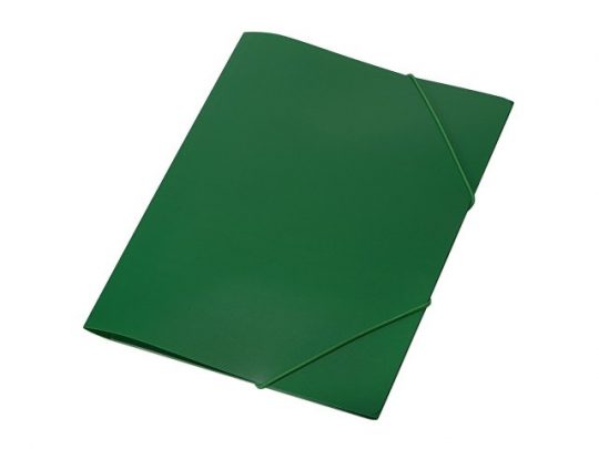 Папка формата А4 на резинке, зеленый, арт. 020728103