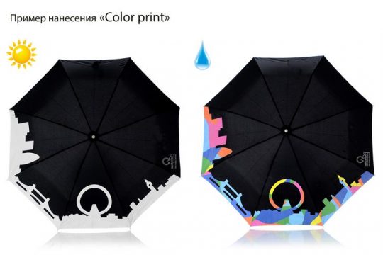 Зонты с печатью Color print