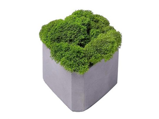 Кашпо бетонное со мхом (гама-маренго мох зеленый), QRONA, арт. 021863203
