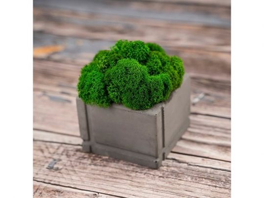 Кашпо бетонное со мхом (квадрат-маренго мох зеленый), QRONA, арт. 021863303