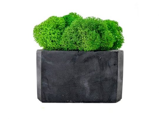 Кашпо бетонное со мхом (гама-антрацит мох зеленый), QRONA, арт. 021863003