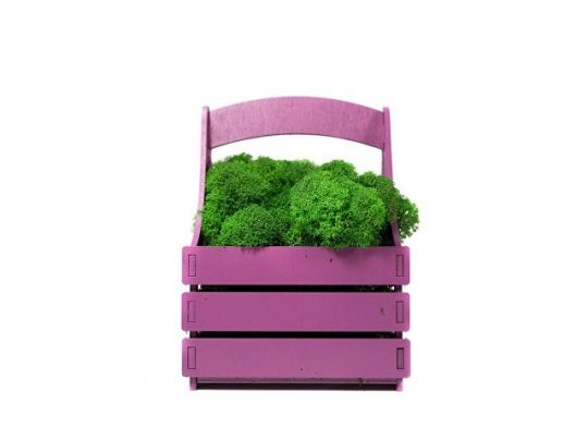 Композиция Корзинка со мхом, фиолетовый, арт. 021862003
