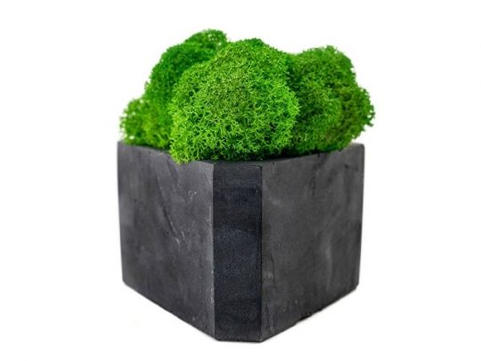 Кашпо бетонное со мхом (гама-антрацит мох зеленый), QRONA, арт. 021863003
