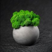 Кашпо бетонное со мхом (сфера-маренго мох зеленый), арт. 021861703