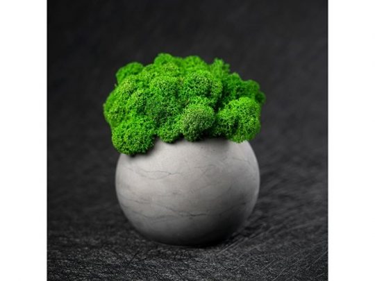 Кашпо бетонное со мхом (сфера-маренго мох зеленый), арт. 021861703