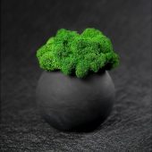 Кашпо бетонное со мхом (сфера-антарцит мох зеленый), арт. 021861603