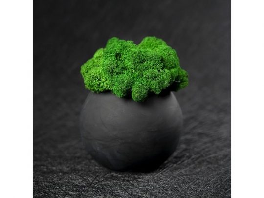Кашпо бетонное со мхом (сфера-антарцит мох зеленый), арт. 021861603