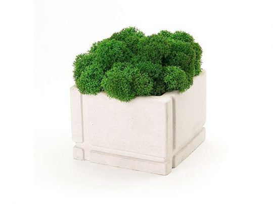 Кашпо бетонное со мхом (квадрат-циркон мох зеленый), QRONA, арт. 021863403