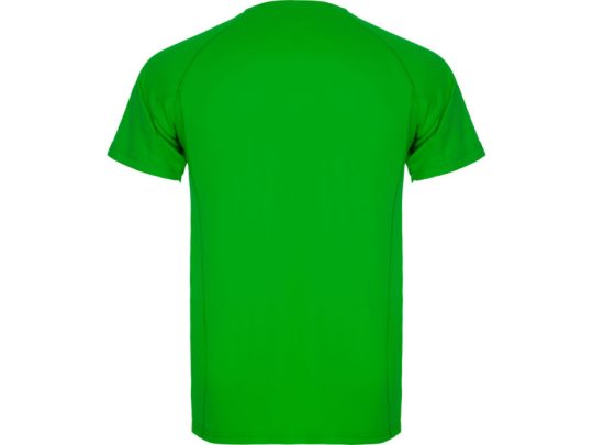 Спортивная футболка Montecarlo мужская, папоротниковый (M), арт. 024929103