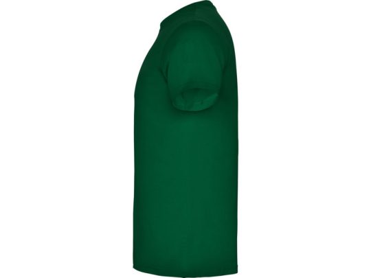 Футболка Beagle мужская, бутылочный зеленый (XL), арт. 024526803