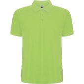 Рубашка поло Pegaso мужская, салатовый (XL), арт. 024651103