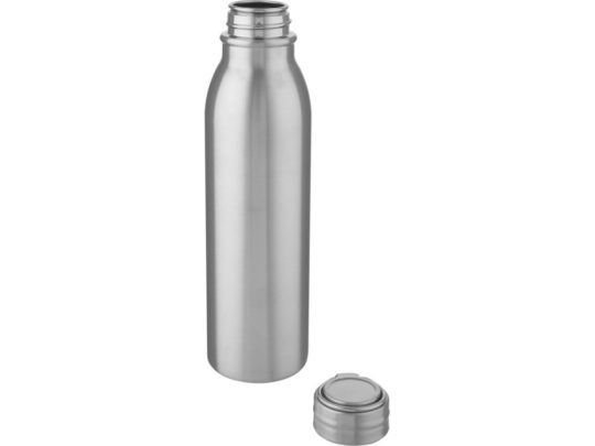 Harper, спортивная бутылка из нержавеющей стали объемом 700 мл с металлической петлей, серебристый, арт. 024740903