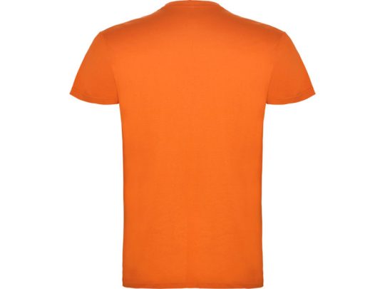 Футболка Beagle мужская, оранжевый (2XL), арт. 024520003