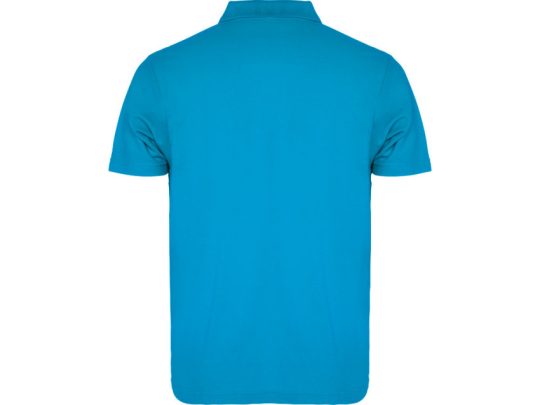 Рубашка поло Austral мужская, бирюзовый (S), арт. 024626803