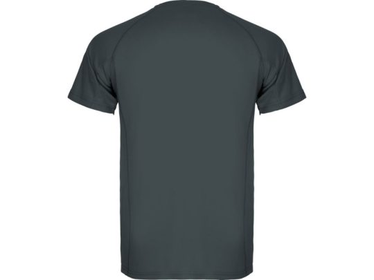 Спортивная футболка Montecarlo мужская, графитовый (S), арт. 024929503