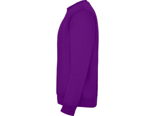 Свитшот с начесом Clasica унисекс, фиолетовый (L), арт. 024898503