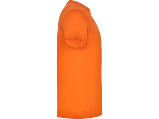 Футболка Beagle мужская, оранжевый (XL), арт. 024519903