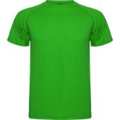 Спортивная футболка Montecarlo мужская, папоротниковый (L), арт. 024929203