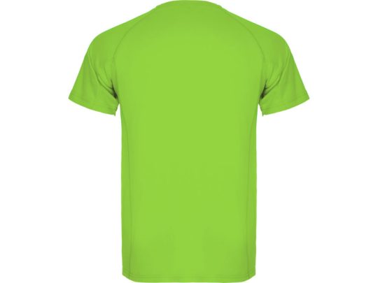 Спортивная футболка Montecarlo мужская, лаймовый (L), арт. 024932403