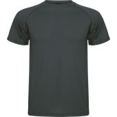 Спортивная футболка Montecarlo мужская, графитовый (2XL), арт. 024929903
